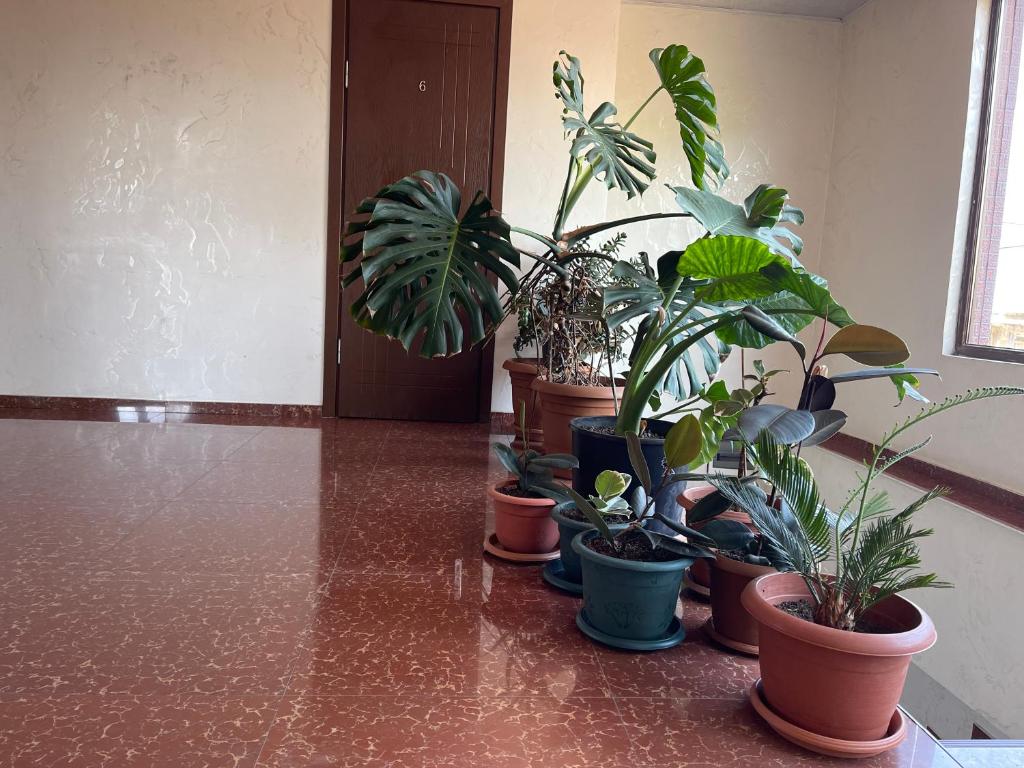 Guest House Grigoletinskaya room 2